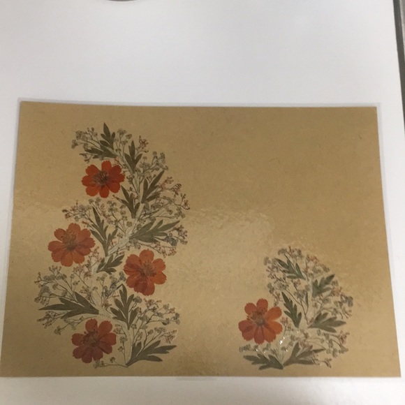 Place Mats - Picture 6 of 8